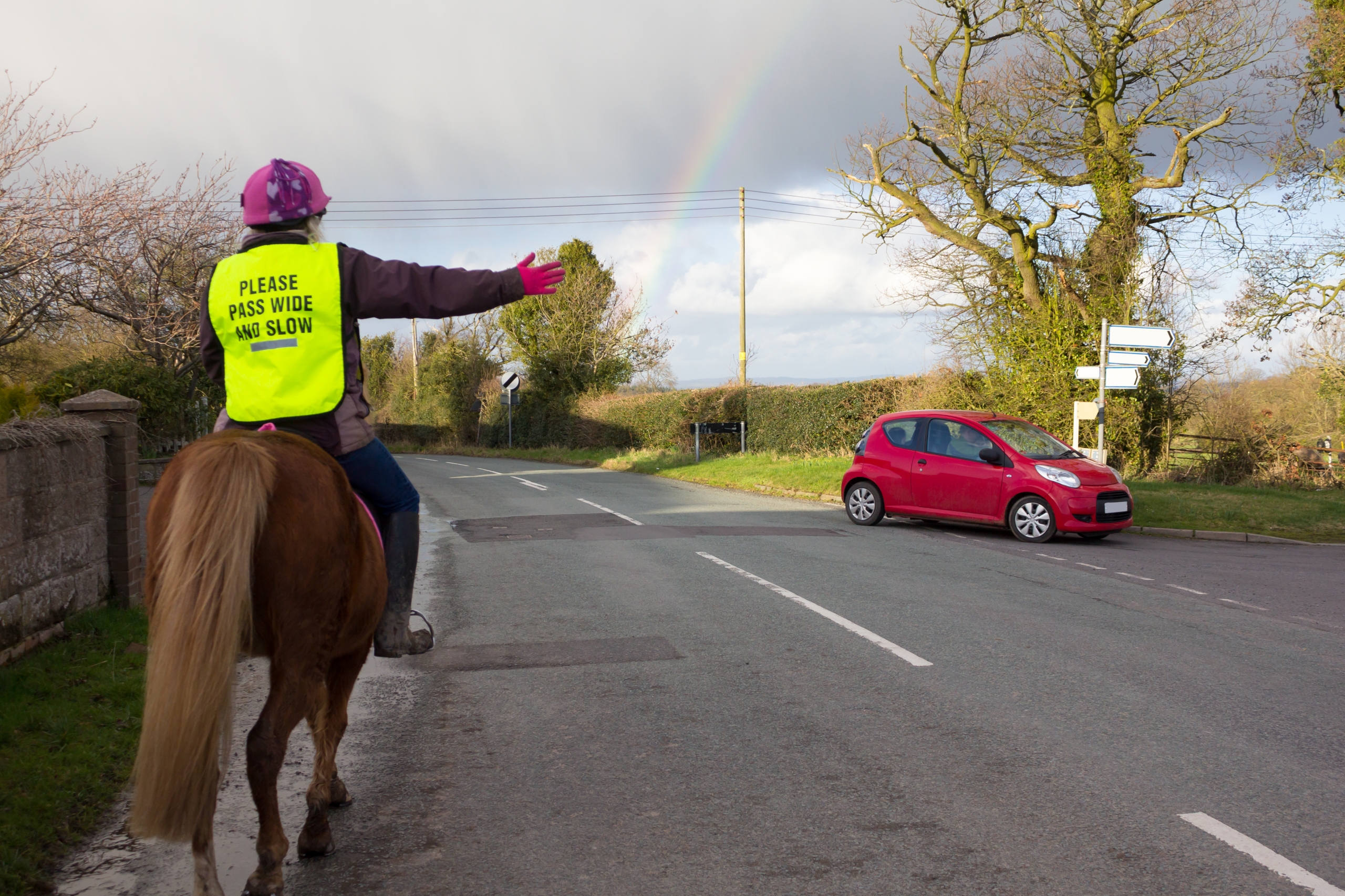 Riding A Horse On UK Roads: What You Need to Know