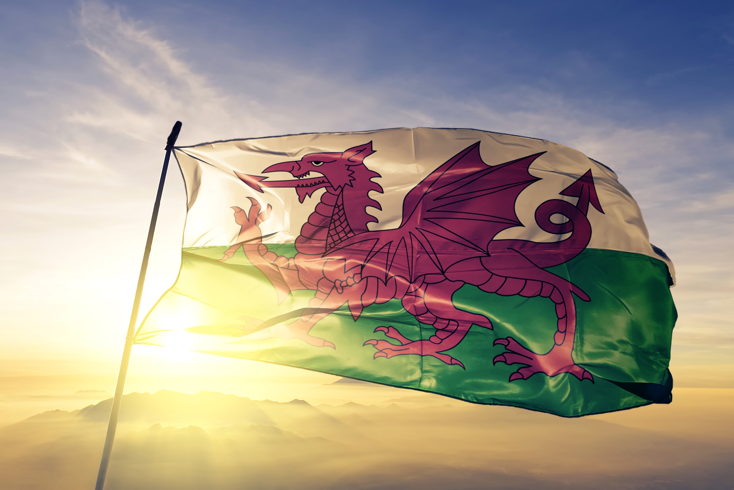 Why Welsh Speakers Should Choose OLS Solicitors with Welsh-Speaking Lawyers